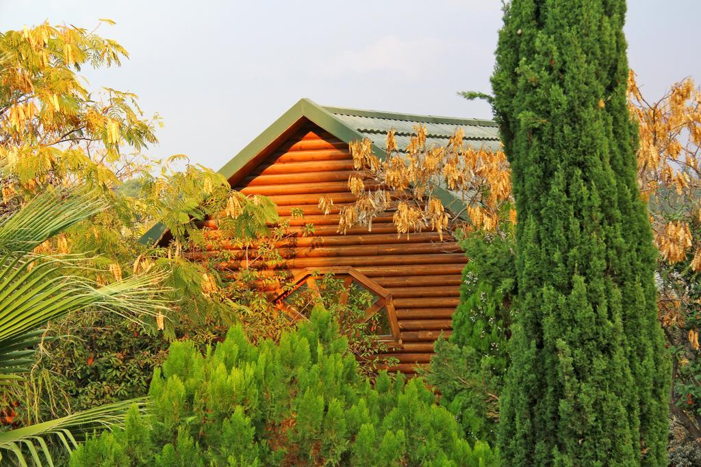 Rosh Pinat Noy Villa Екстериор снимка